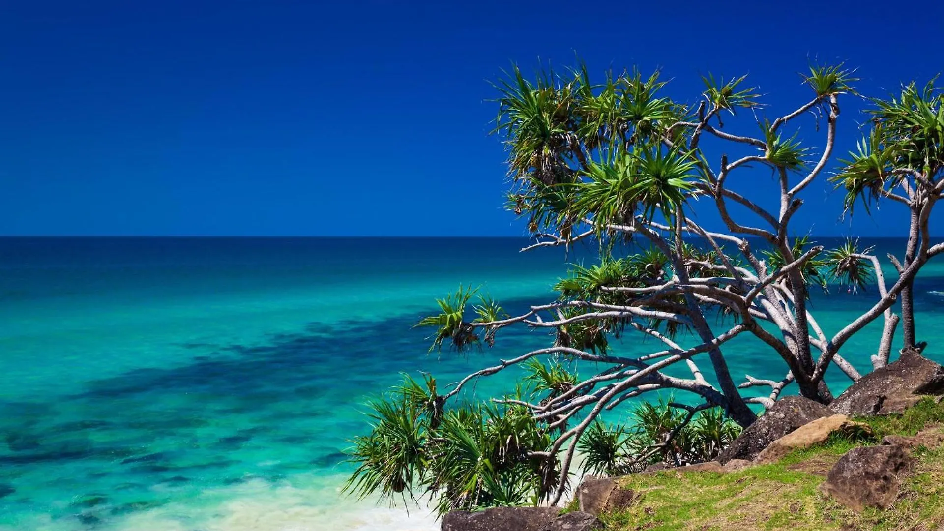 Salty Sea Breeze Apartment 500M To Waters Edge Gold Coast